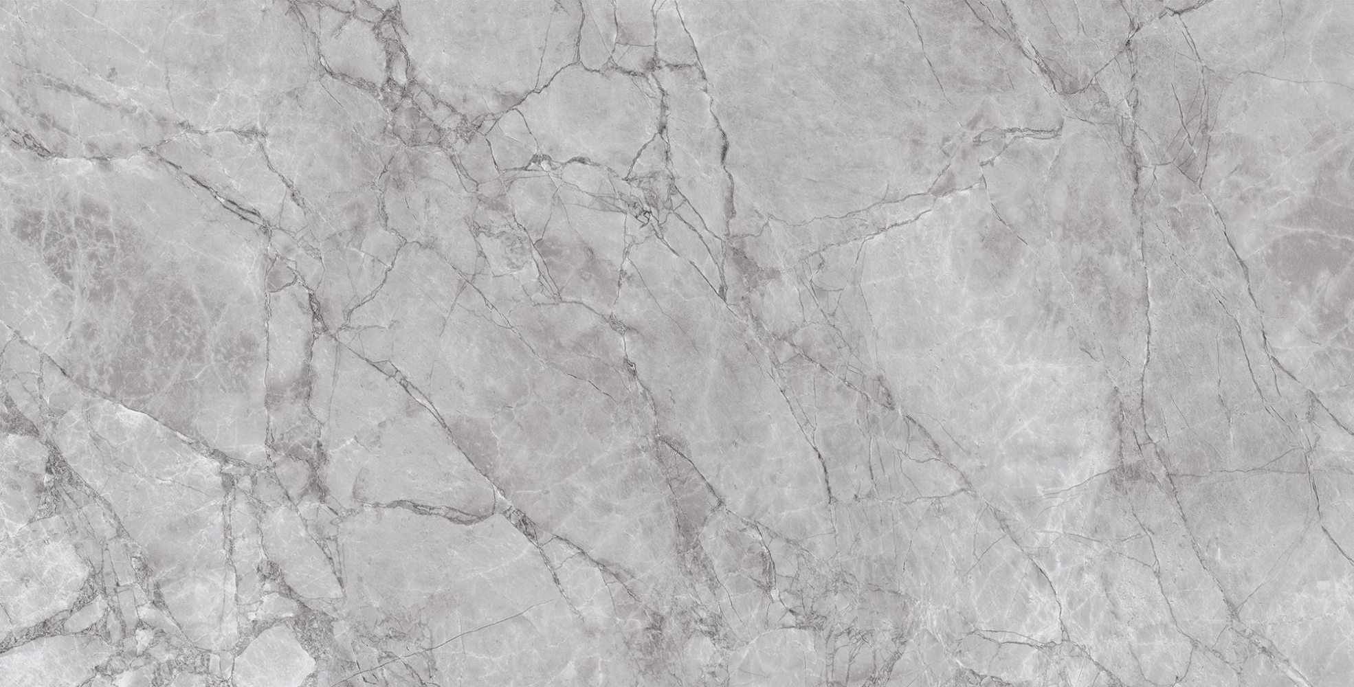 Керамогранит Arcadia Ceramica Carving Arctic Grey 60х120 см