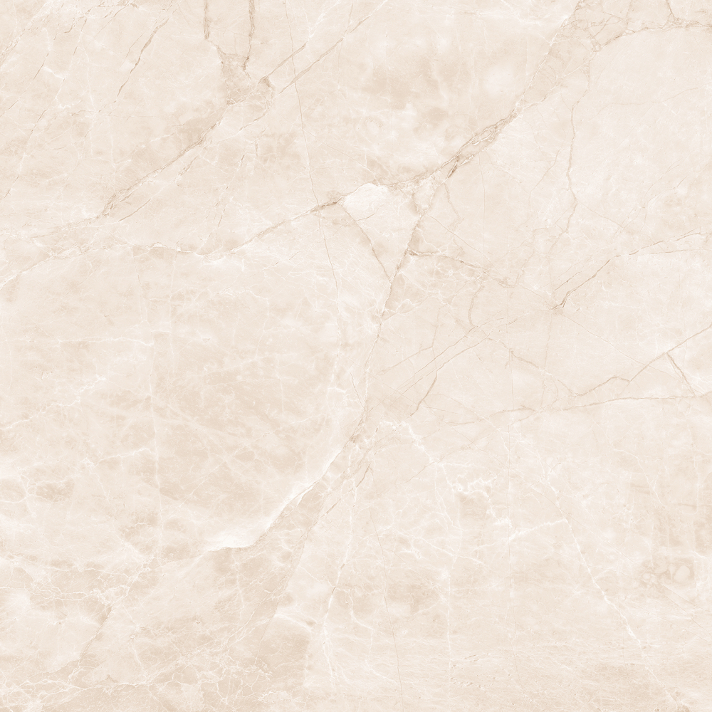 Фото Керамогранит Arcadia Ceramica Carving Arctic Pearl 60х60 см крупным планом — купить в Краснодаре в салоне МАКСАНН