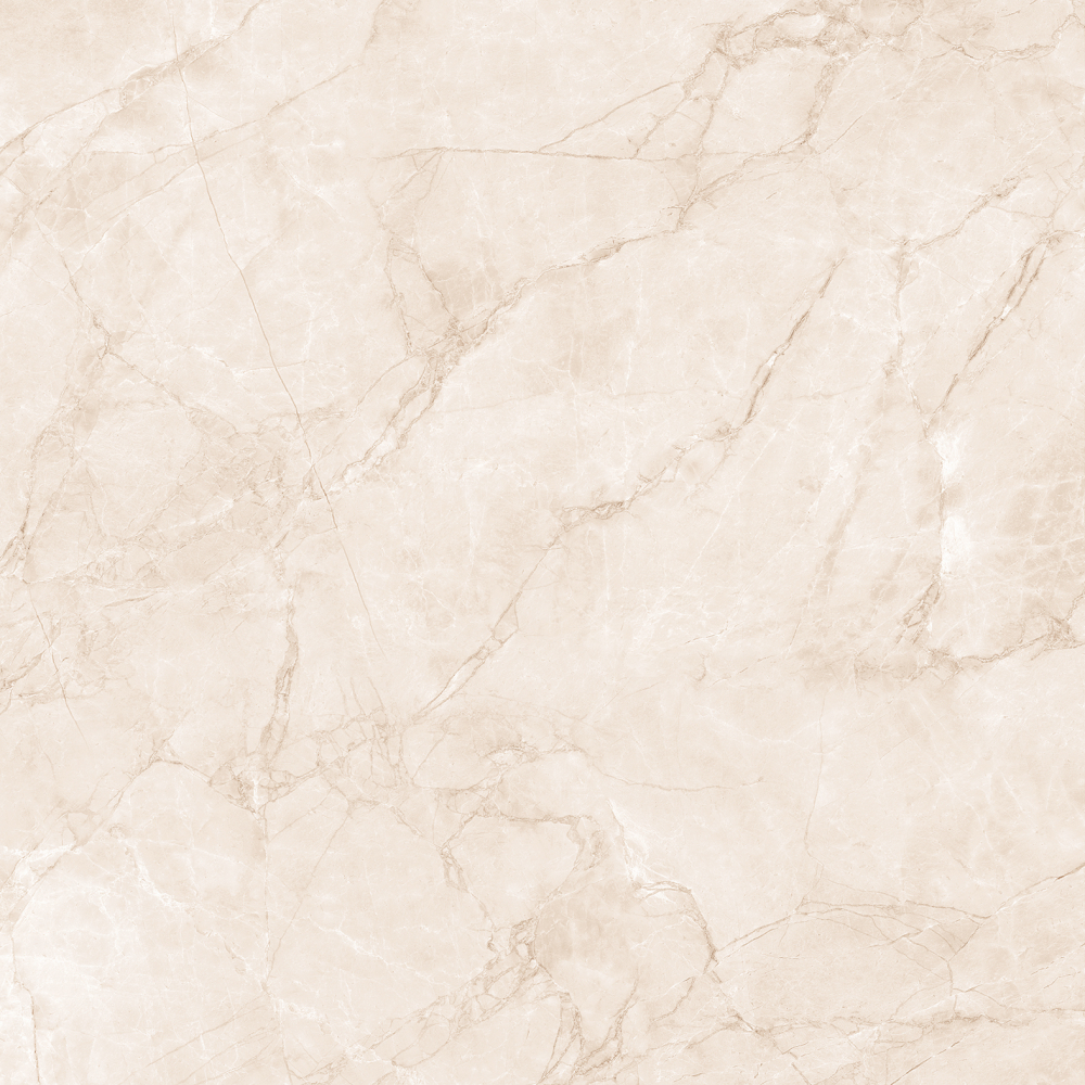 Фото Керамогранит Arcadia Ceramica Carving Arctic Pearl 60х60 см крупным планом — купить в Краснодаре в салоне МАКСАНН