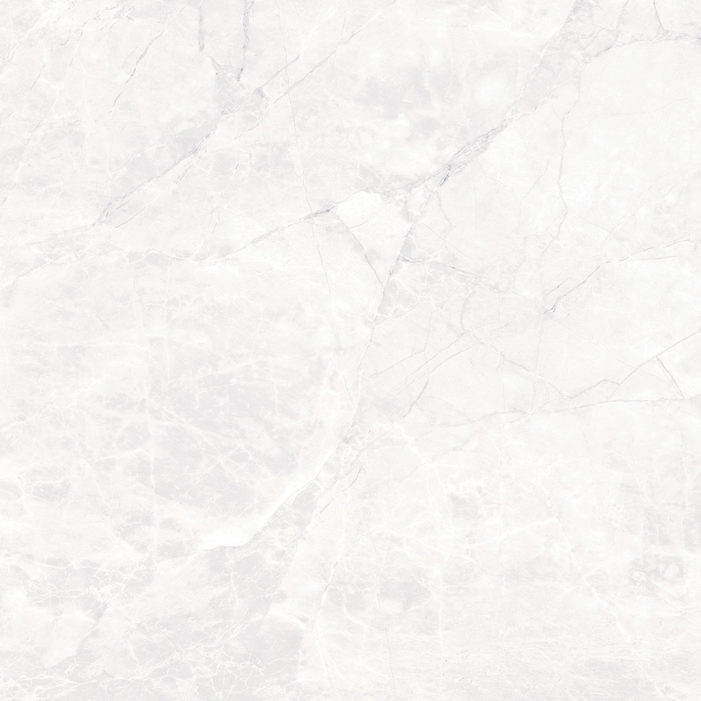 Фото Керамогранит Arcadia Ceramica Carving Arctic White 60х60 см крупным планом — купить в Краснодаре в салоне МАКСАНН
