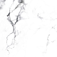 Керамогранит Arcadia Ceramica Carving Borghini Silver 60х60 см