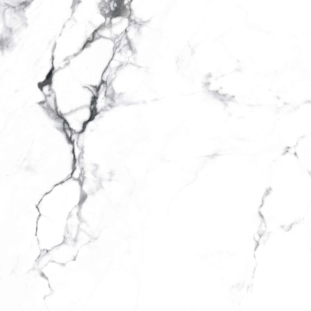 Фото Керамогранит Arcadia Ceramica Carving Borghini Silver 60х60 см крупным планом — купить в Краснодаре в салоне МАКСАНН