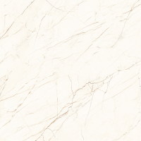 Керамогранит Arcadia Ceramica Carving Ceasar 60х60 см