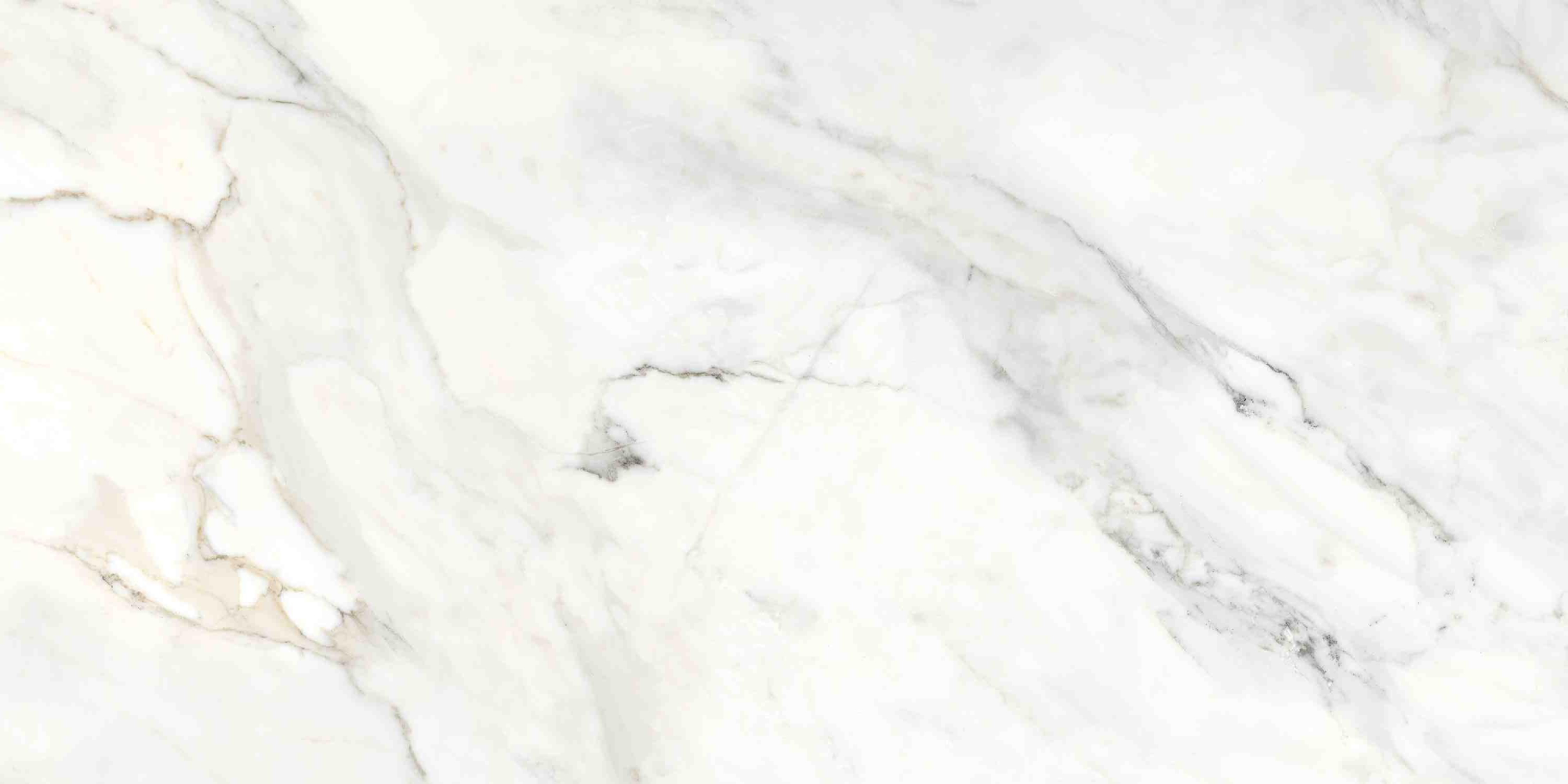 Фото Керамогранит Ennface Marble Amulet Glossy 60x120 см крупным планом — купить в Краснодаре в салоне МАКСАНН