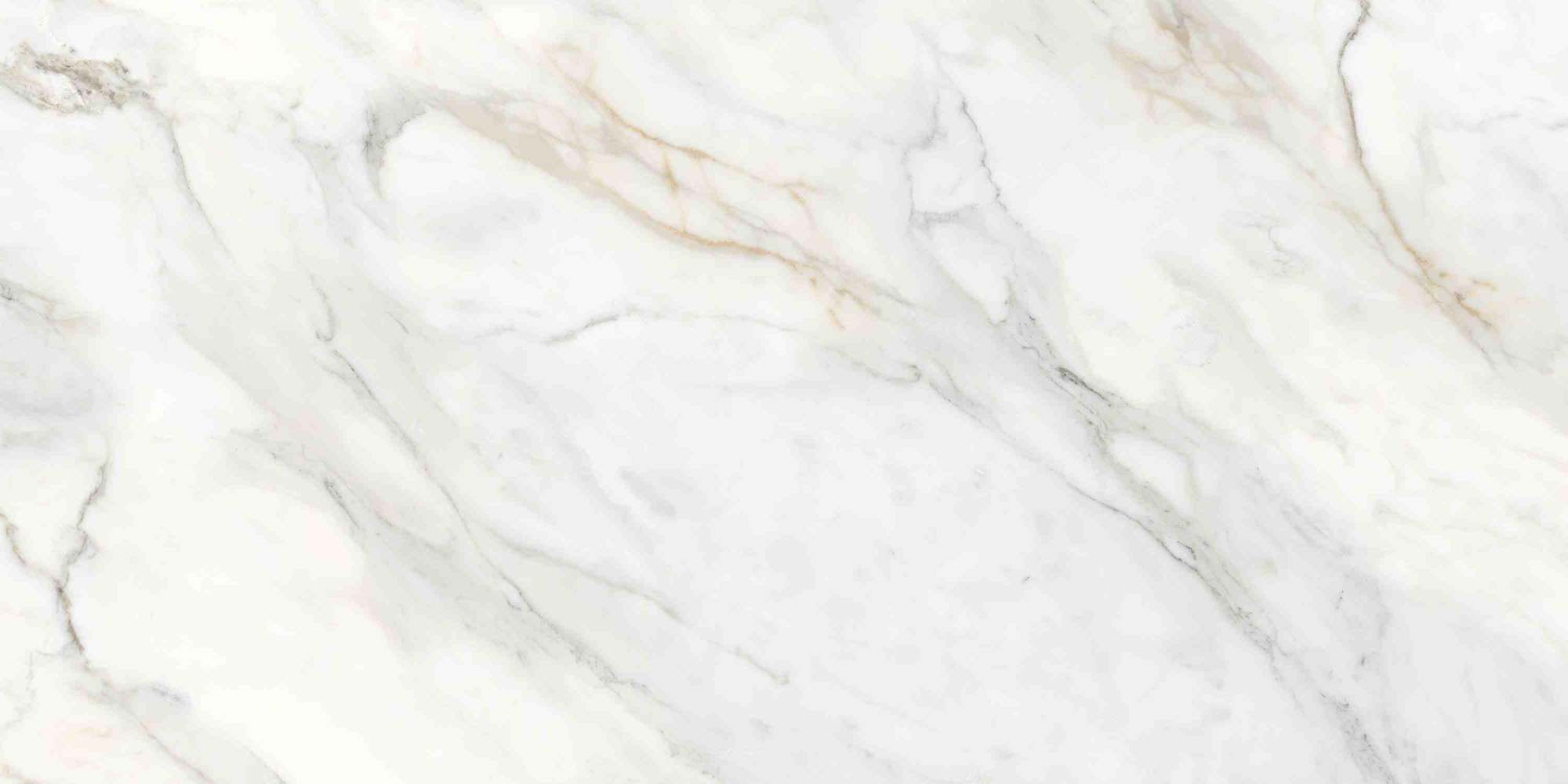 Фото Керамогранит Ennface Marble Amulet Glossy 60x120 см крупным планом — купить в Краснодаре в салоне МАКСАНН