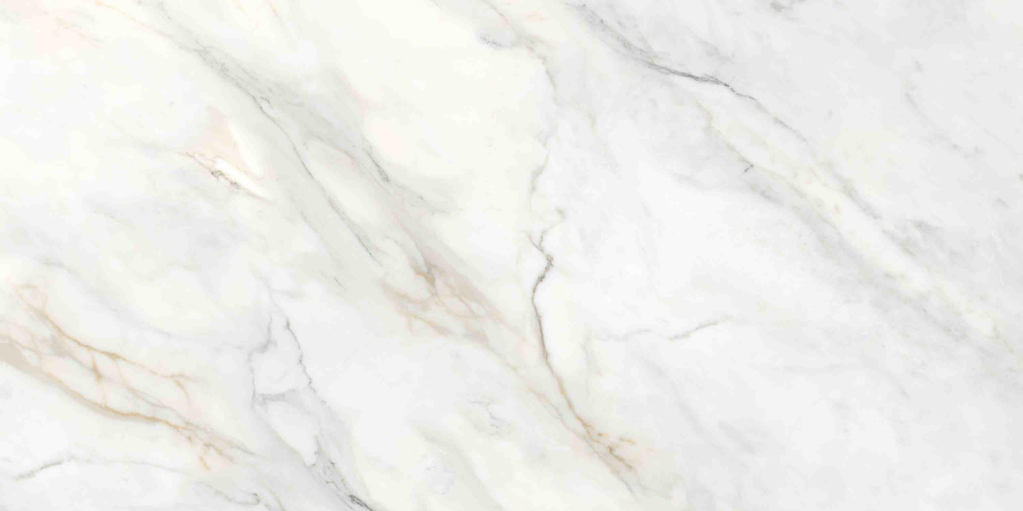 Фото Керамогранит Ennface Marble Amulet Glossy 60x120 см крупным планом — купить в Краснодаре в салоне МАКСАНН