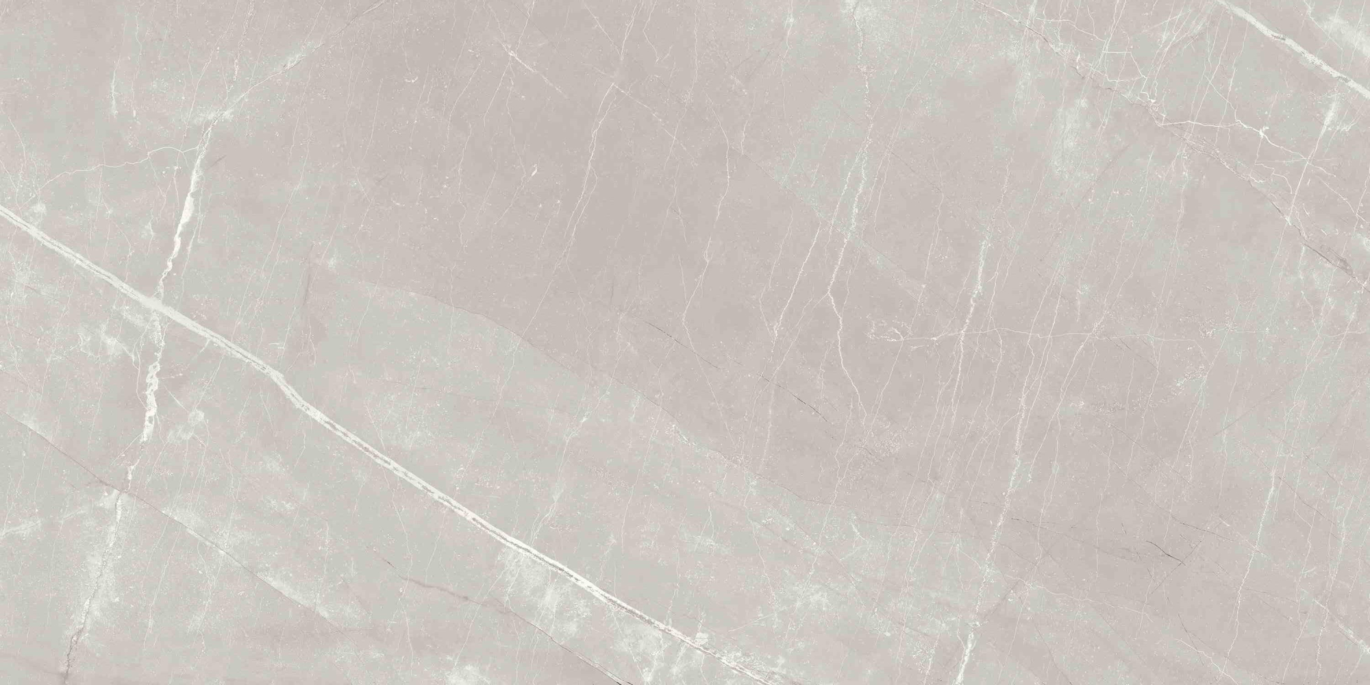 Фото Керамогранит Ennface Stone Alaska Grey Matt 60x120 см крупным планом — купить в Краснодаре в салоне МАКСАНН