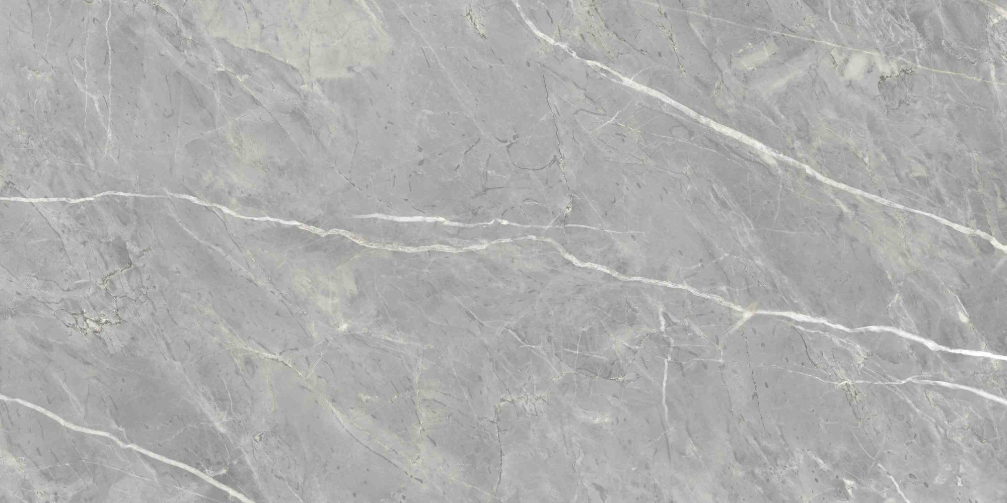 Фото Керамогранит Ennface Stone Marcasite Glossy 60x120 см крупным планом — купить в Краснодаре в салоне МАКСАНН