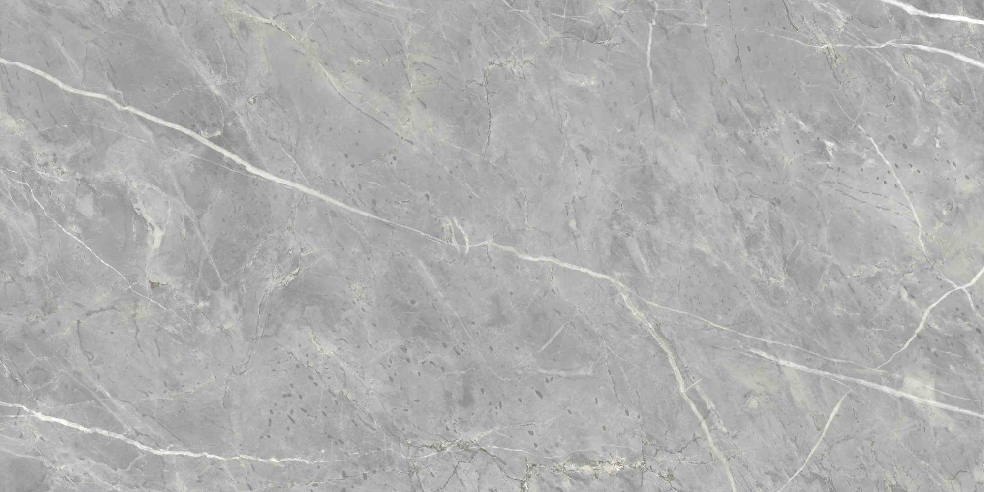 Фото Керамогранит Ennface Stone Marcasite Glossy 60x120 см крупным планом — купить в Краснодаре в салоне МАКСАНН