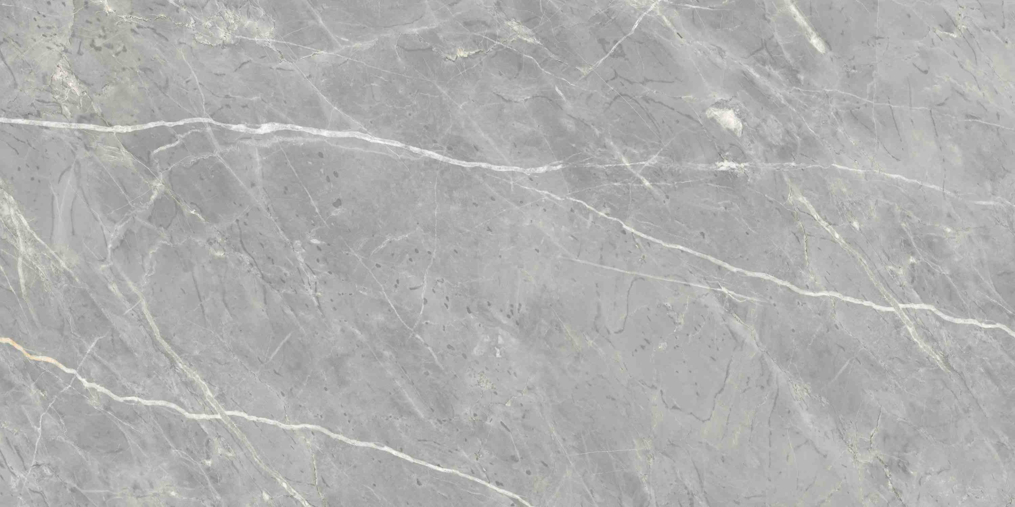 Фото Керамогранит Ennface Stone Marcasite Glossy 60x120 см крупным планом — купить в Краснодаре в салоне МАКСАНН
