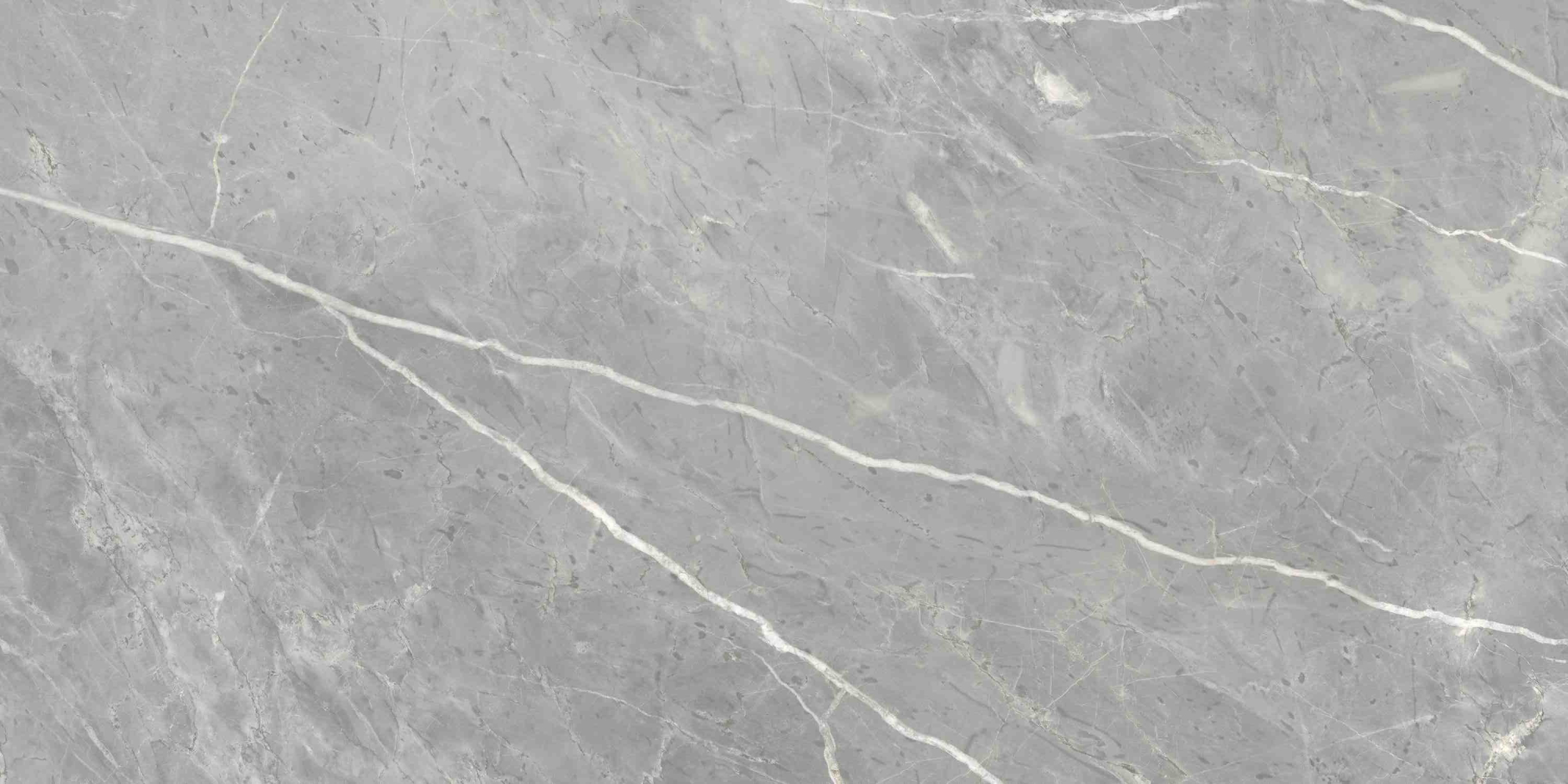 Фото Керамогранит Ennface Stone Marcasite Glossy 60x120 см крупным планом — купить в Краснодаре в салоне МАКСАНН