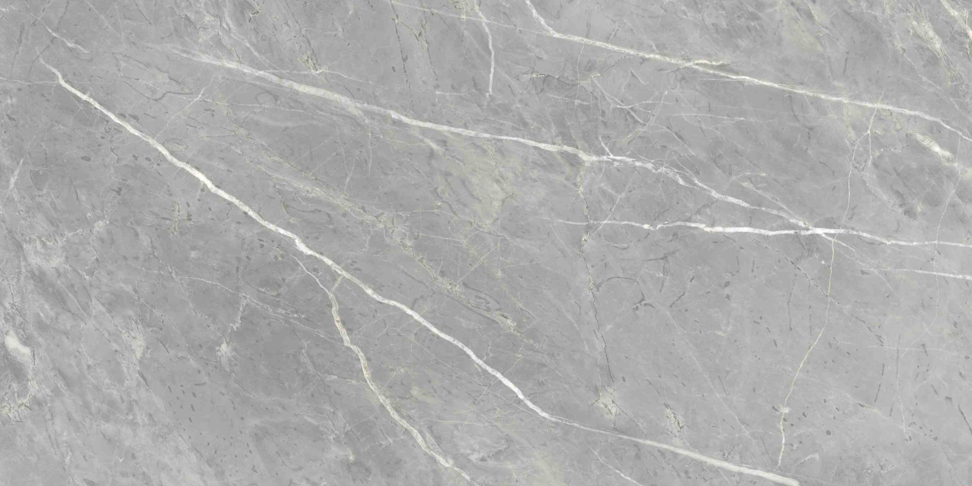 Фото Керамогранит Ennface Stone Marcasite Glossy 60x120 см крупным планом — купить в Краснодаре в салоне МАКСАНН