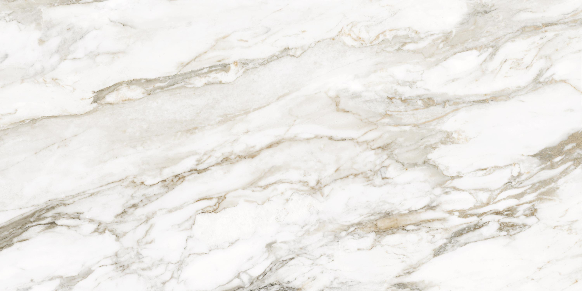 Фото Керамогранит Ennface Marble Calacatta Citrus Glossy 60x120 см крупным планом — купить в Краснодаре в салоне МАКСАНН