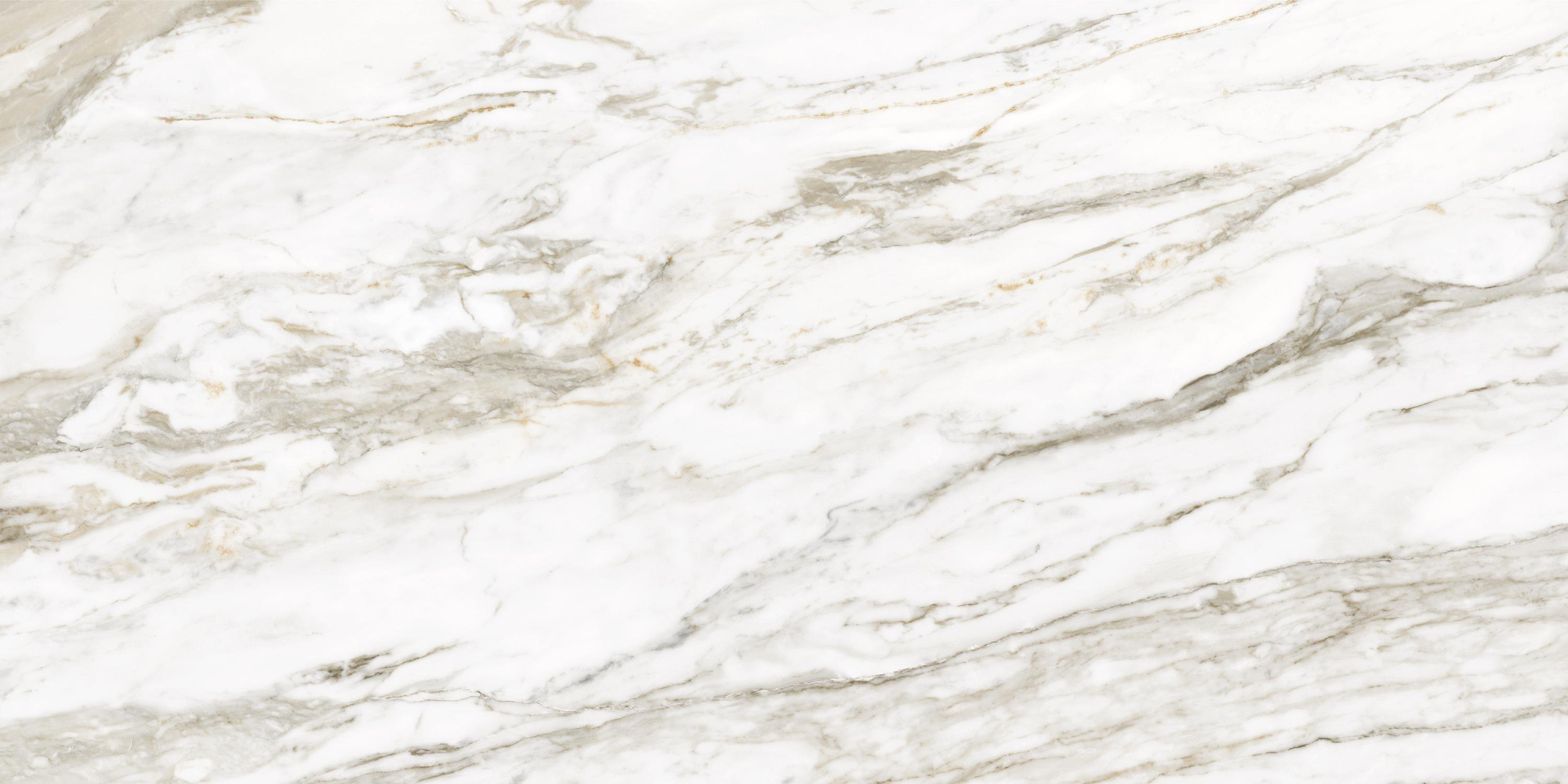 Фото Керамогранит Ennface Marble Calacatta Citrus Glossy 60x120 см крупным планом — купить в Краснодаре в салоне МАКСАНН