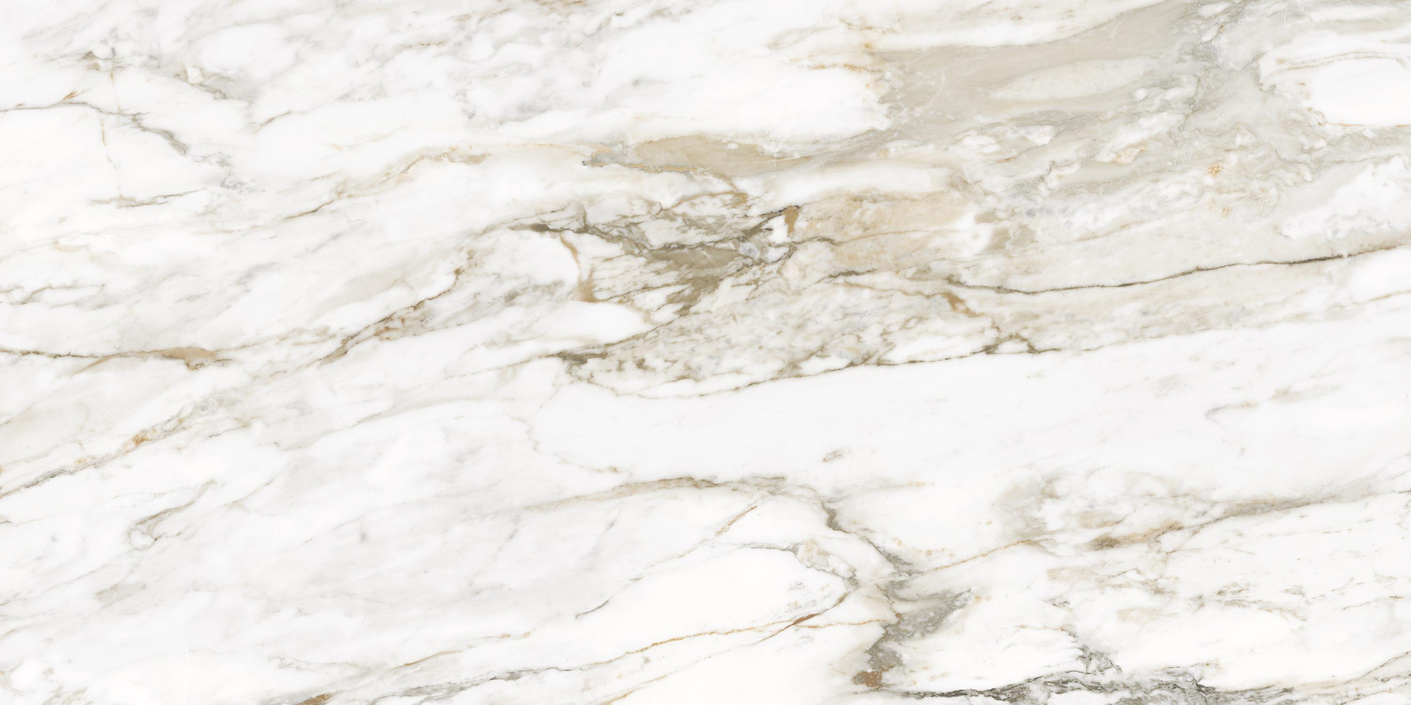 Фото Керамогранит Ennface Marble Calacatta Citrus Glossy 60x120 см крупным планом — купить в Краснодаре в салоне МАКСАНН
