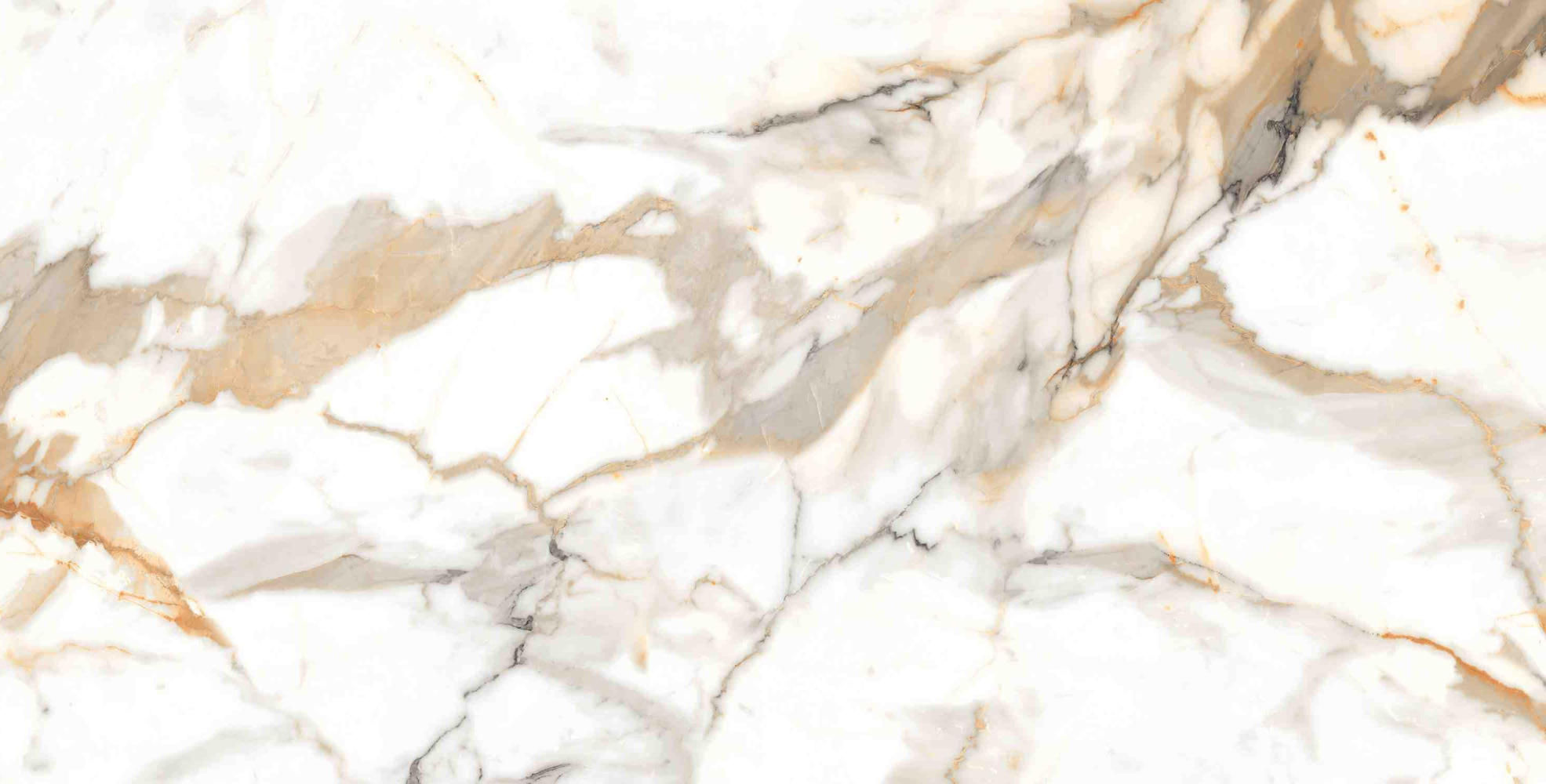 Фото Керамогранит Ennface Marble Calacatta Oro Matt 60x120 см крупным планом — купить в Краснодаре в салоне МАКСАНН