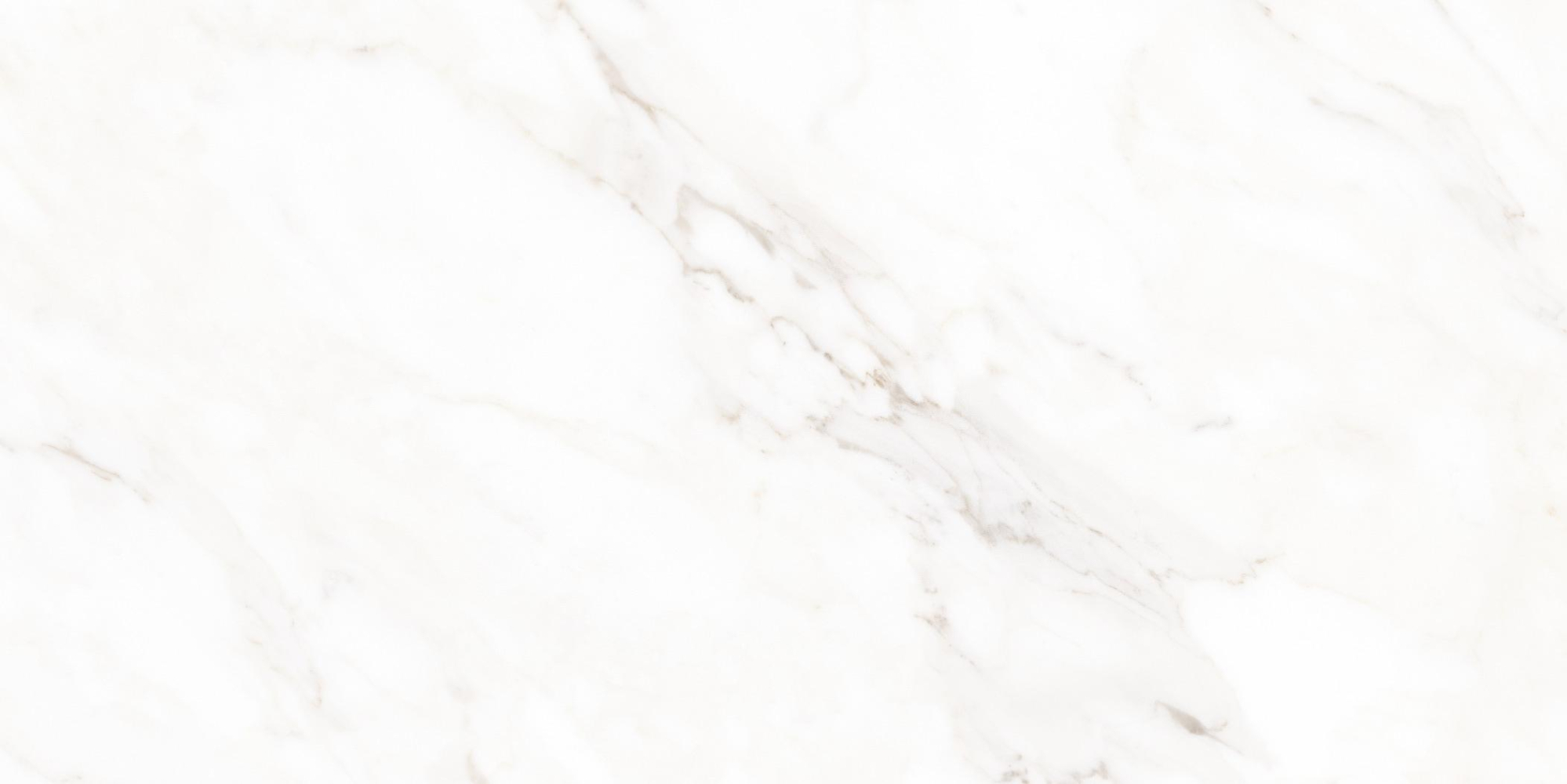 Фото Керамогранит Neodom Classic Marble Calacatta Polished 60x120 см крупным планом — купить в Краснодаре в салоне МАКСАНН