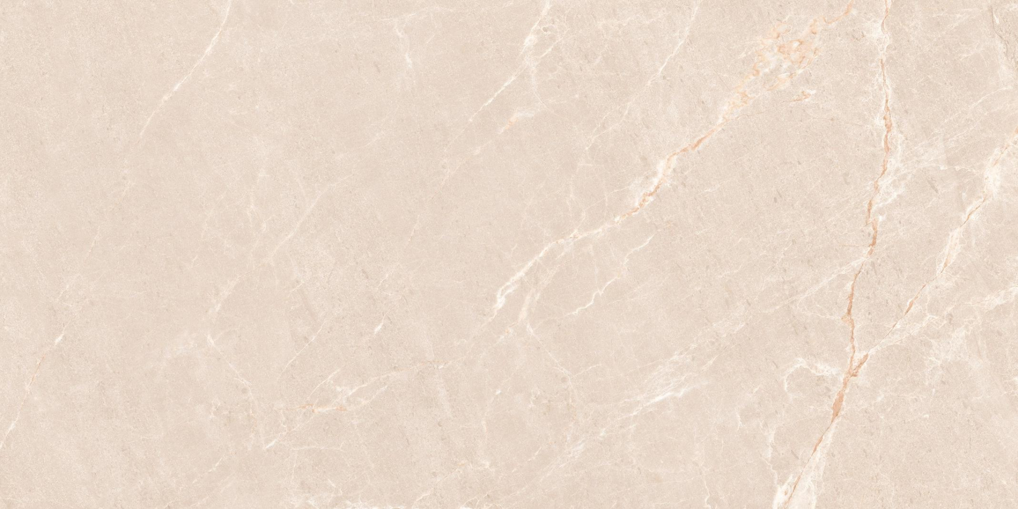 Фото Керамогранит Neodom Concept Persian Beige Matt 60x120 см крупным планом — купить в Краснодаре в салоне МАКСАНН