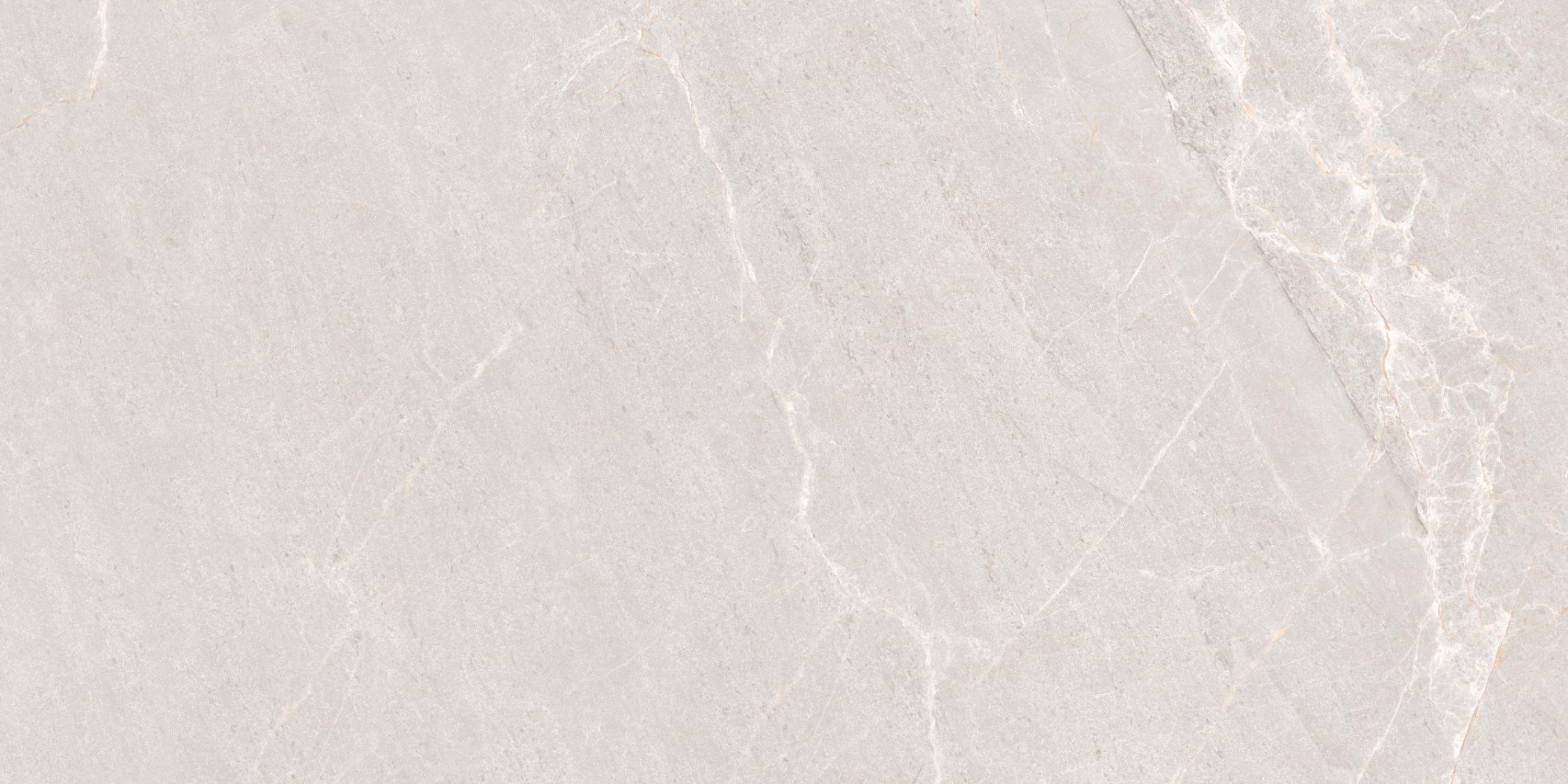 Фото Керамогранит Neodom Concept Persian Grey Matt 60x120 см крупным планом — купить в Краснодаре в салоне МАКСАНН