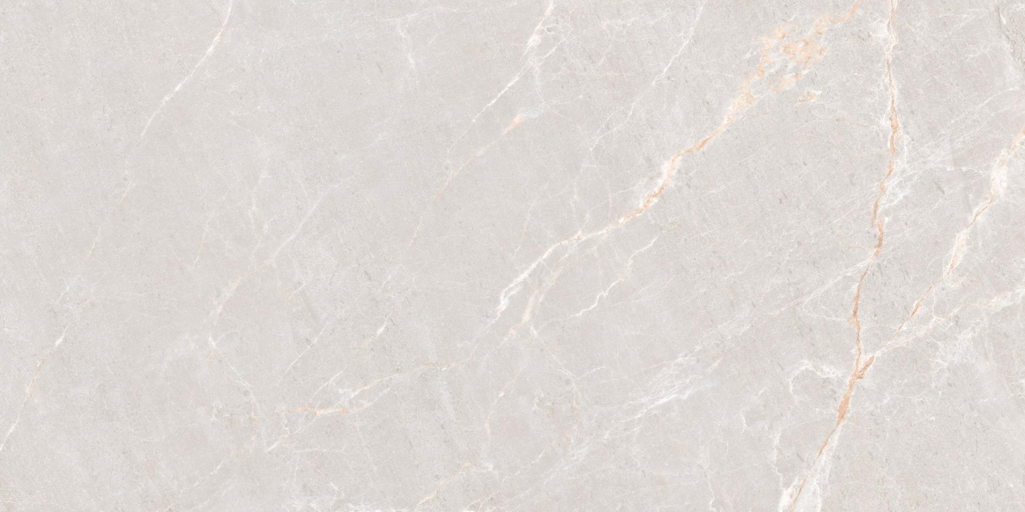 Фото Керамогранит Neodom Concept Persian Grey Matt 60x120 см крупным планом — купить в Краснодаре в салоне МАКСАНН