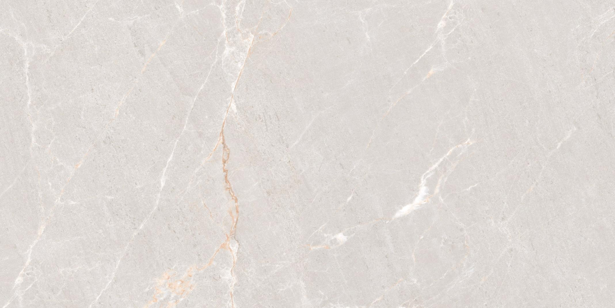 Фото Керамогранит Neodom Concept Persian Grey Matt 60x120 см крупным планом — купить в Краснодаре в салоне МАКСАНН