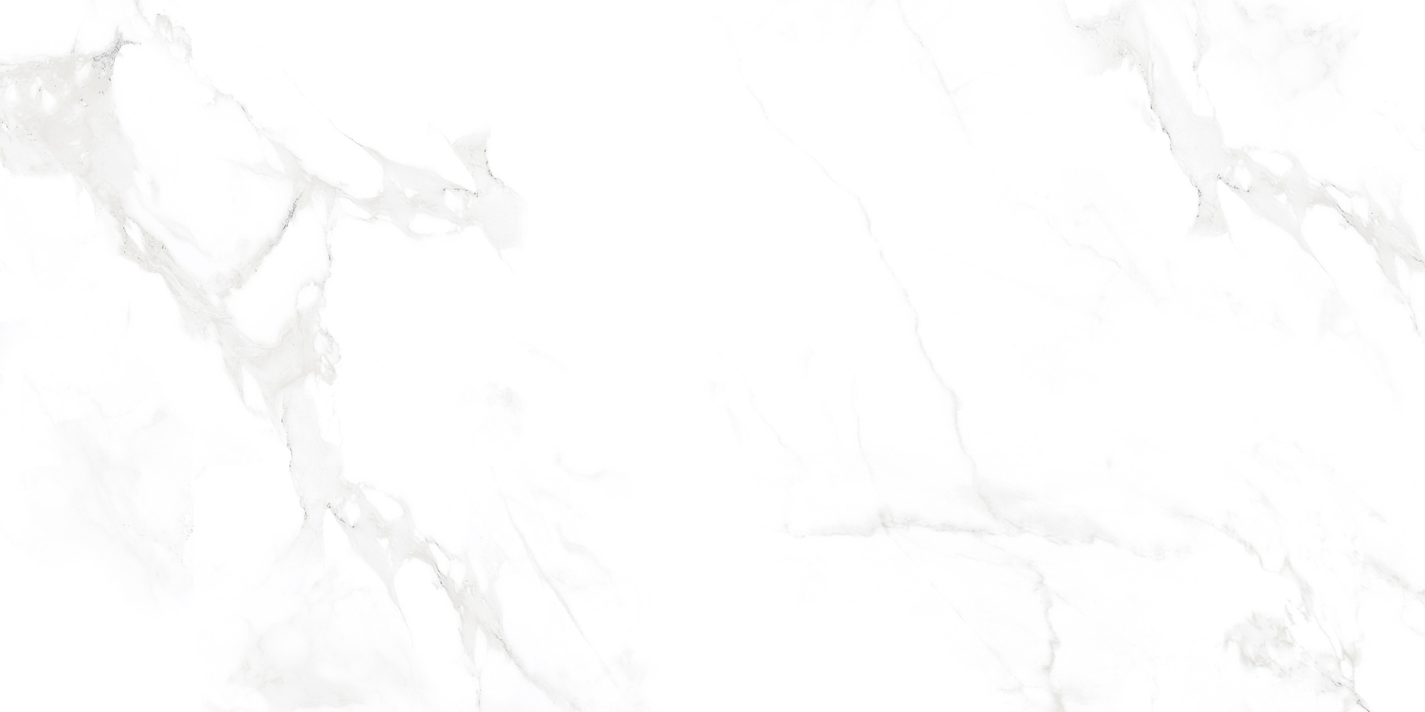 Фото Керамогранит Neodom Concept Venus Bianco Polished 60x120 см крупным планом — купить в Краснодаре в салоне МАКСАНН