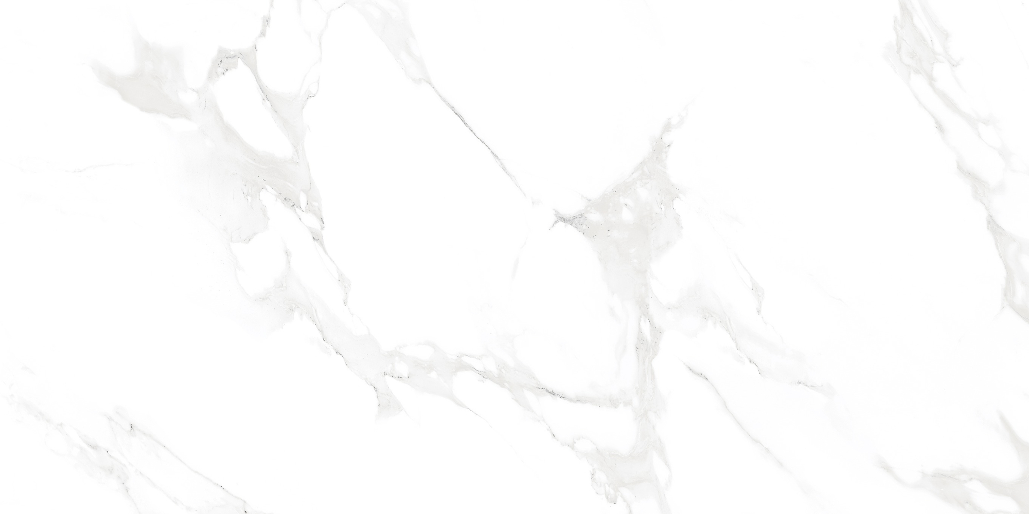 Фото Керамогранит Neodom Concept Venus Bianco Polished 60x120 см крупным планом — купить в Краснодаре в салоне МАКСАНН