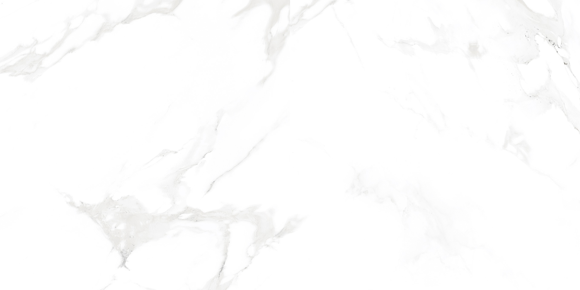 Фото Керамогранит Neodom Concept Venus Bianco Polished 60x120 см крупным планом — купить в Краснодаре в салоне МАКСАНН