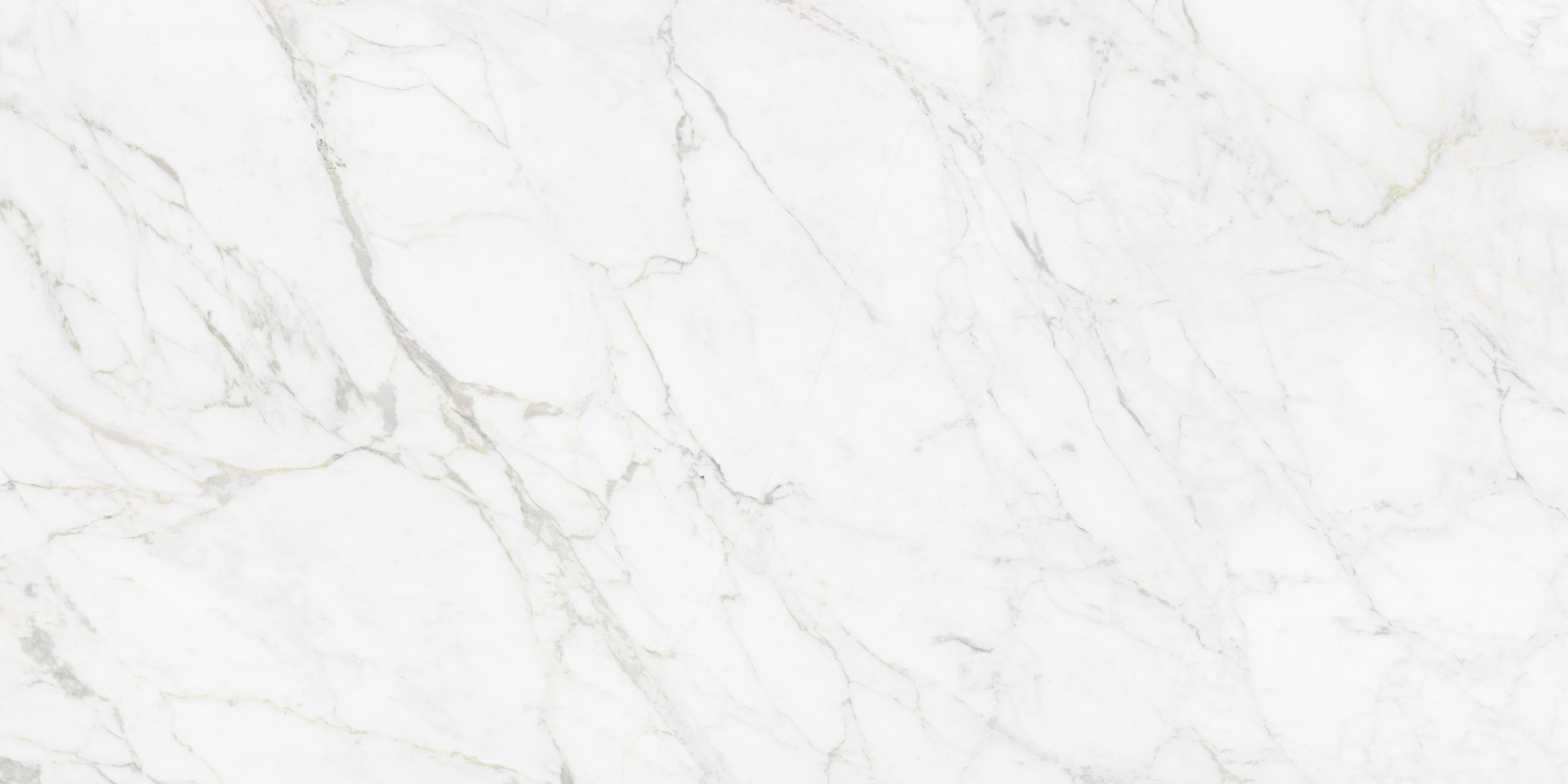 Фото Керамогранит Neodom Luxury Carrara Giaola Polished 60x120 см крупным планом — купить в Краснодаре в салоне МАКСАНН