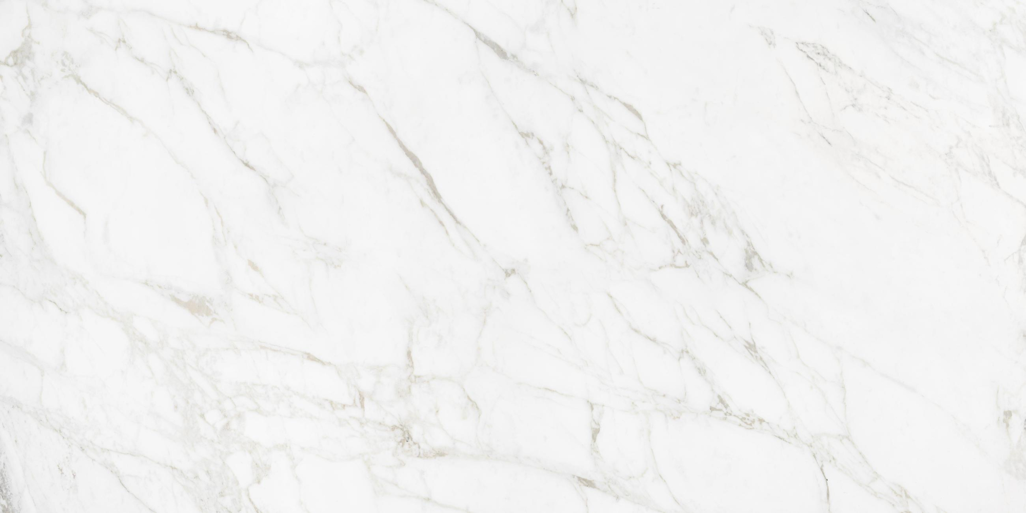 Фото Керамогранит Neodom Luxury Carrara Giaola Polished 60x120 см крупным планом — купить в Краснодаре в салоне МАКСАНН