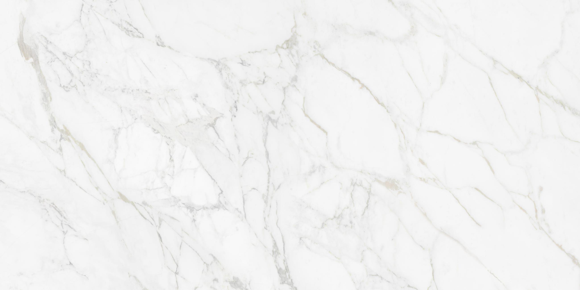 Фото Керамогранит Neodom Luxury Carrara Giaola Polished 60x120 см крупным планом — купить в Краснодаре в салоне МАКСАНН