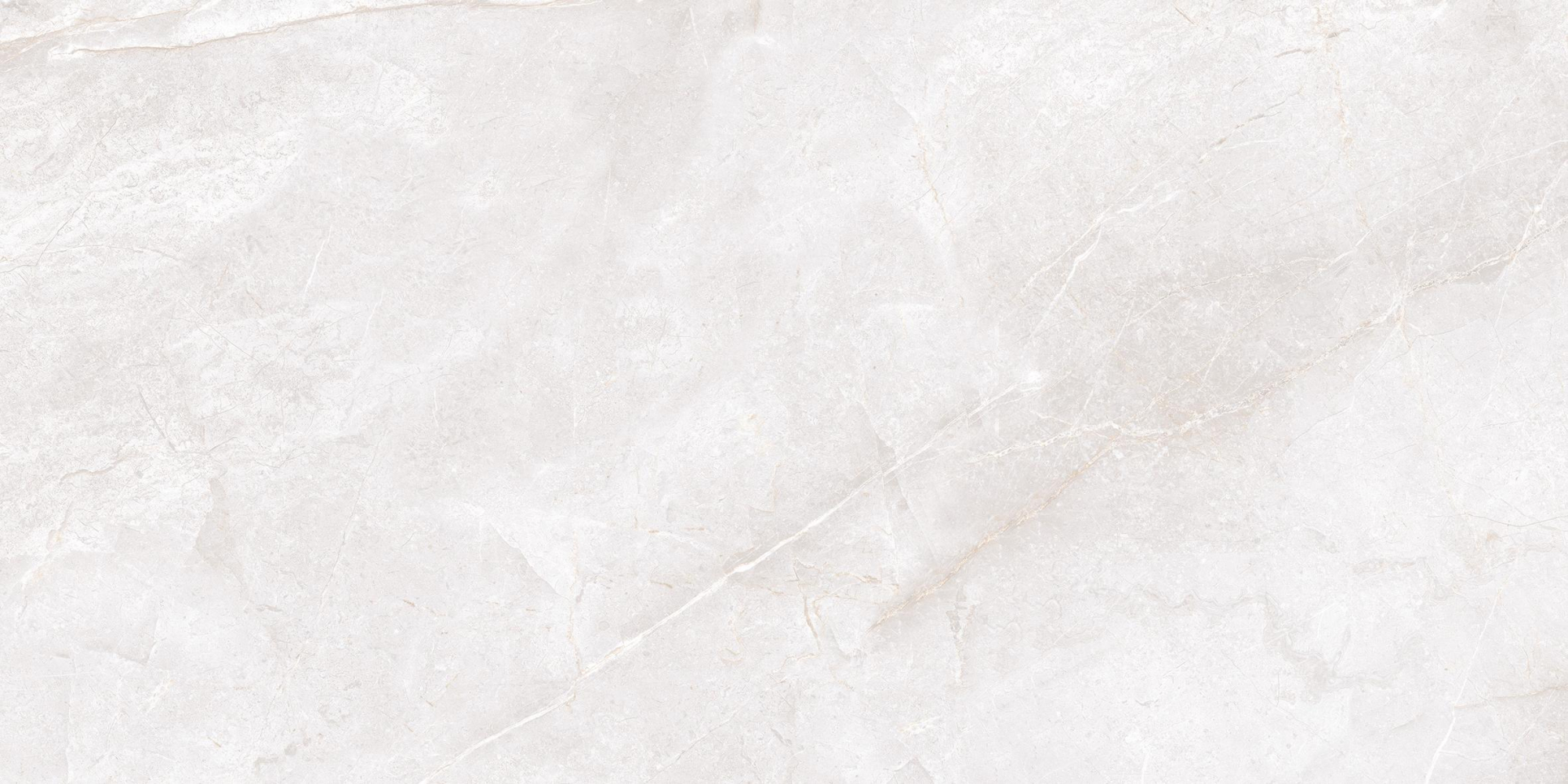 Фото Керамогранит Neodom Marble Marmi Bianco Matt 60x120 см крупным планом — купить в Краснодаре в салоне МАКСАНН