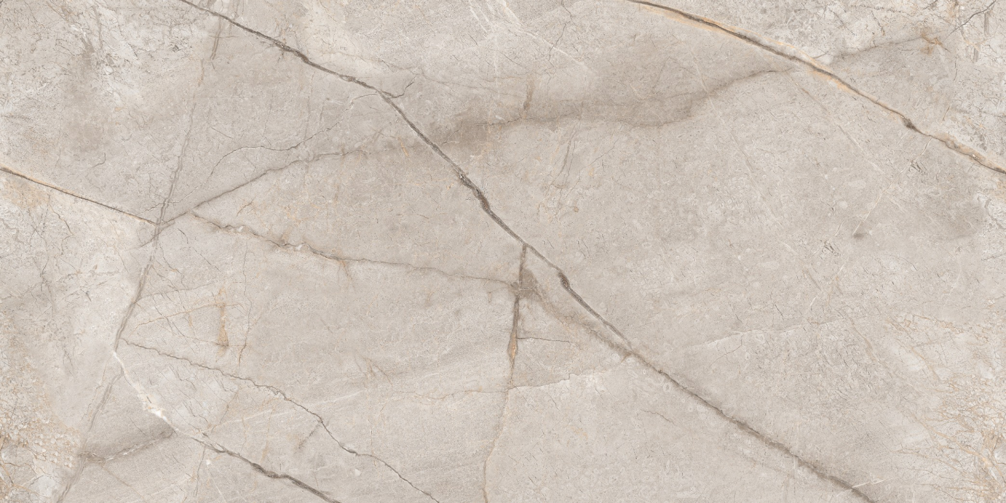 Фото Керамогранит Neodom Marble Silver Stone Carving 60x120 см крупным планом — купить в Краснодаре в салоне МАКСАНН