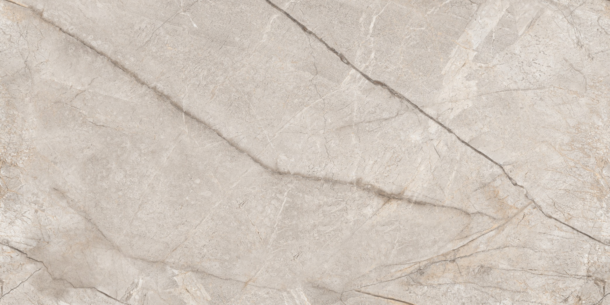 Фото Керамогранит Neodom Marble Silver Stone Carving 60x120 см крупным планом — купить в Краснодаре в салоне МАКСАНН