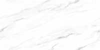 Крупноформатный керамогранит Neodom Classic Marble Statuario Dior Polished 80x160 см