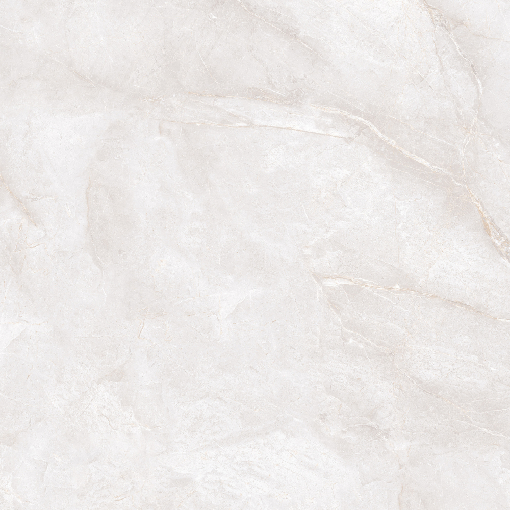 Фото Крупноформатный керамогранит Neodom Marble Orobico Bianco Matt 120x120 см крупным планом — купить в Краснодаре в салоне МАКСАНН