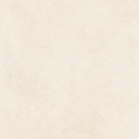 Крупноформатный керамогранит Neodom Stone Jackstone Moca Matt Str 120x120 см