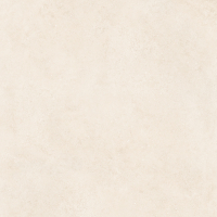 Крупноформатный керамогранит Neodom Stone Jackstone Moca Matt Str 120x120 см